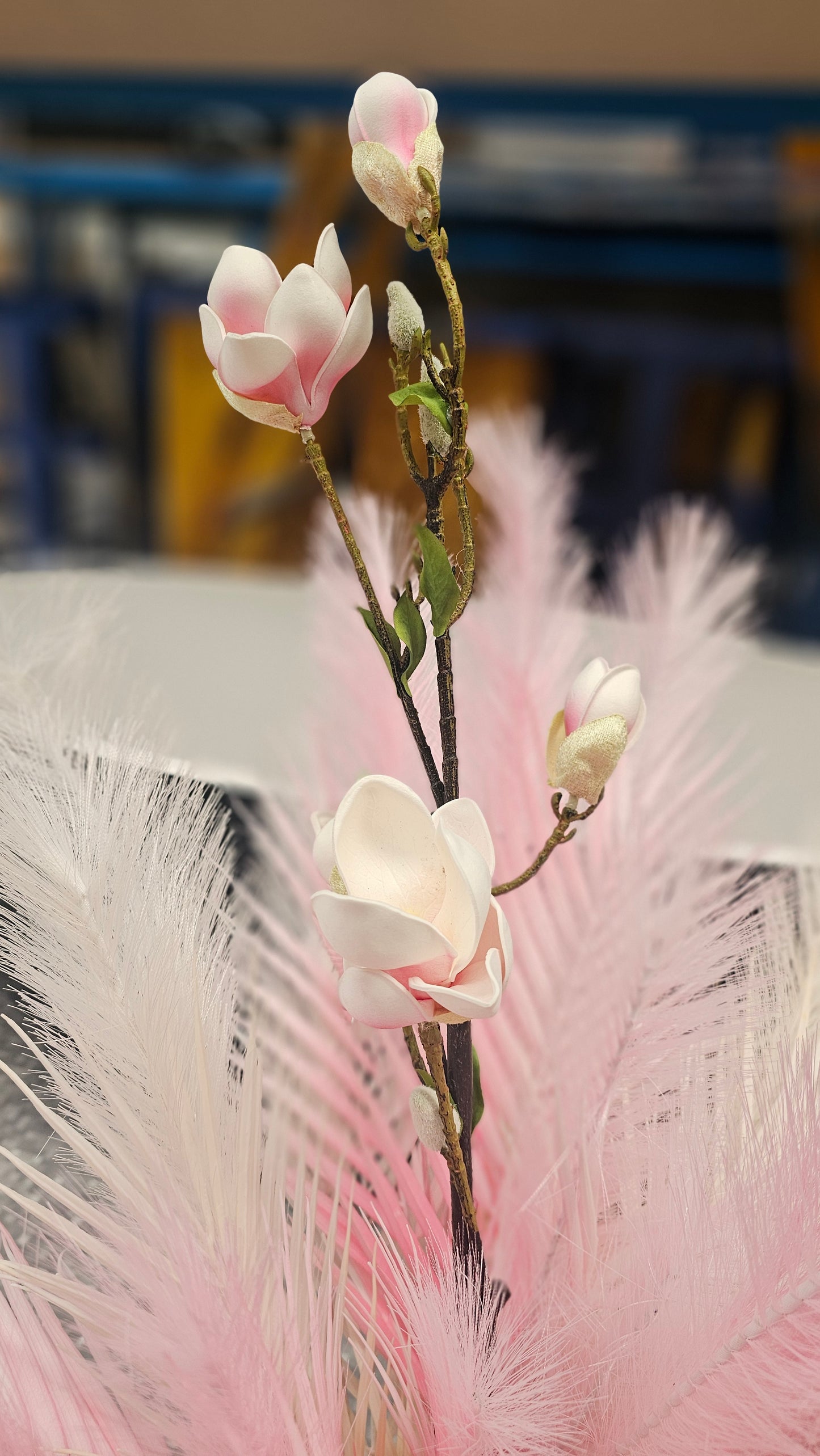Yulan Magnolia pink