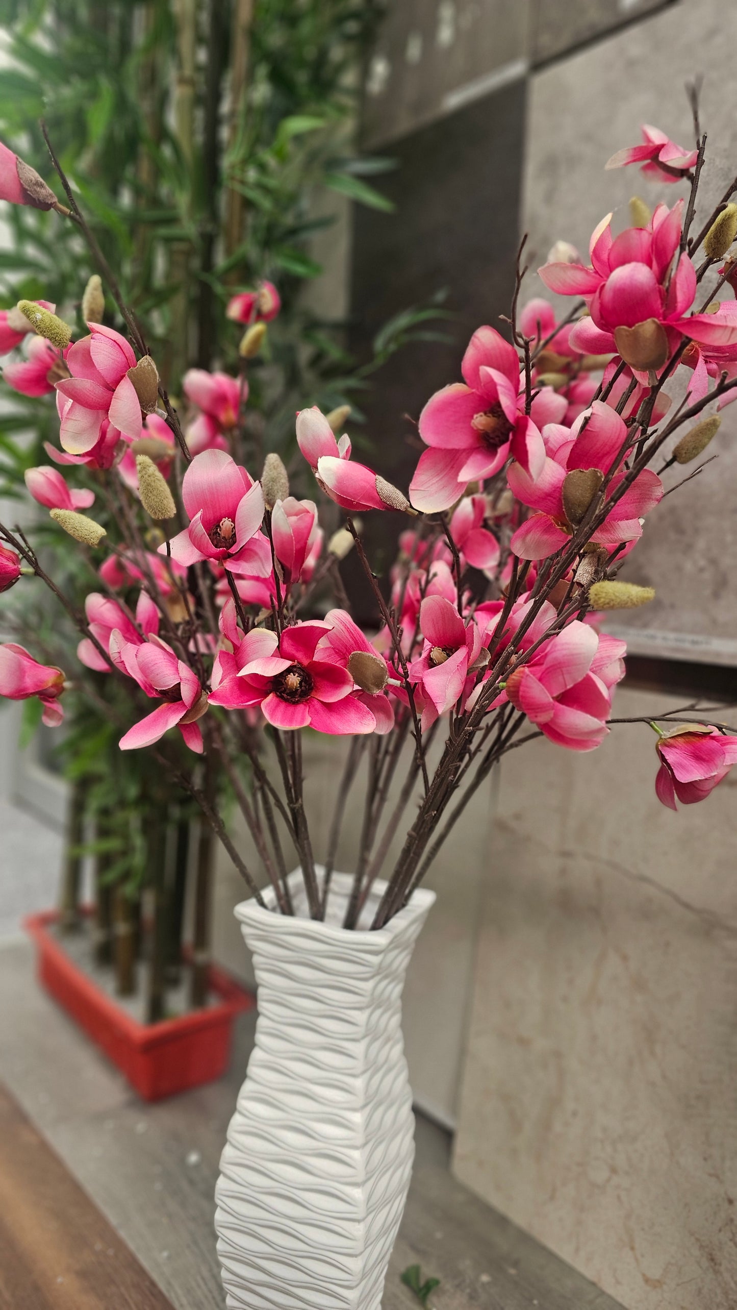 Magnolia blossom