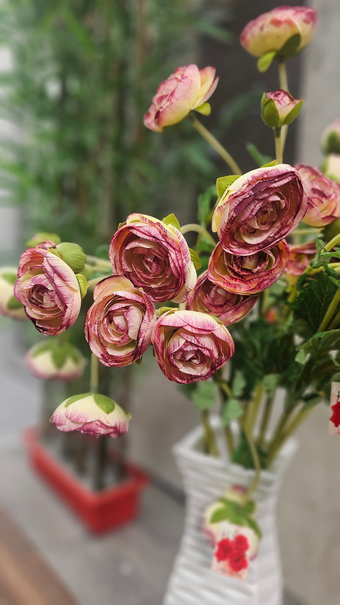 Persian buttercup flowers