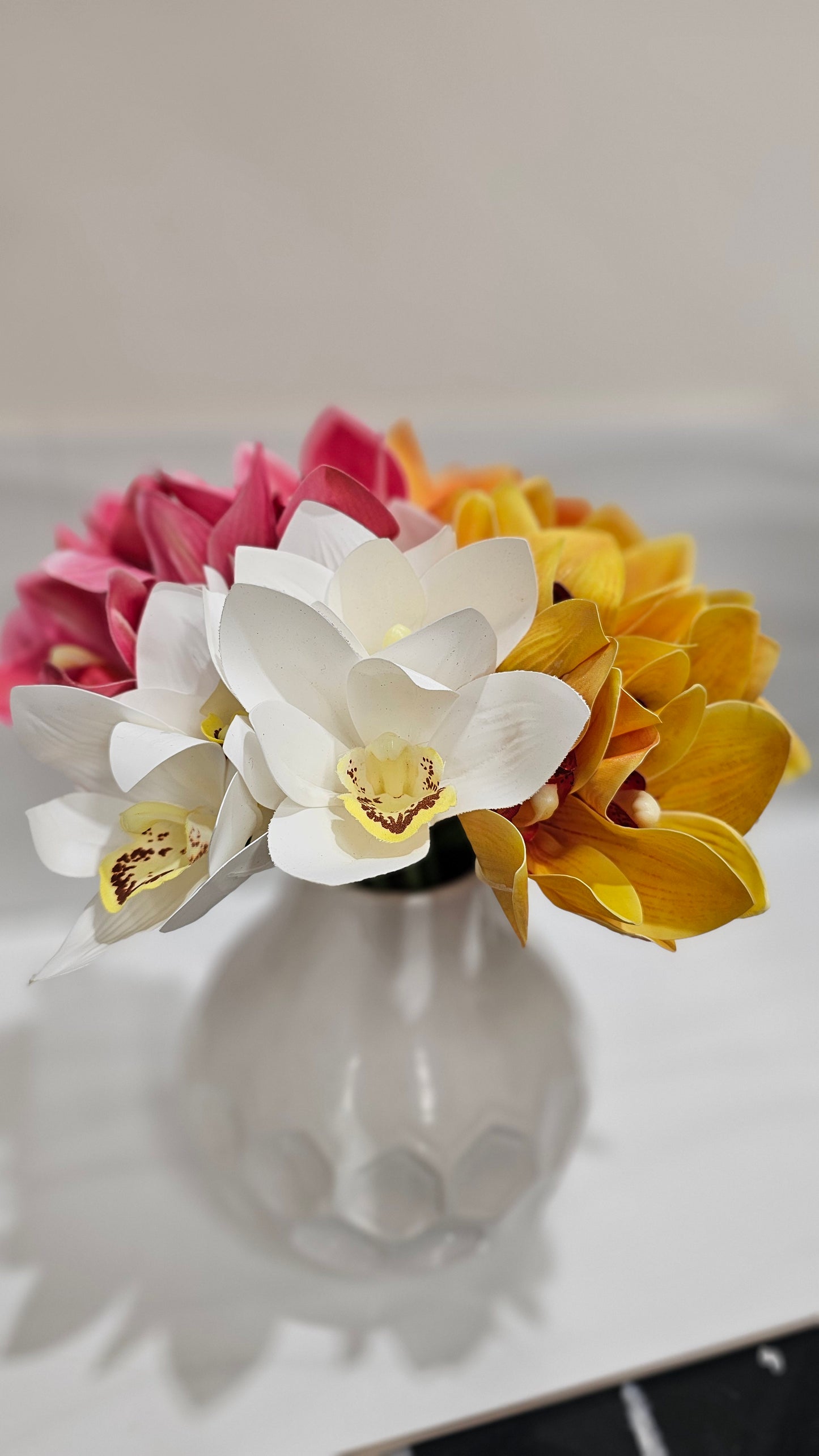 Cymbidium orchids