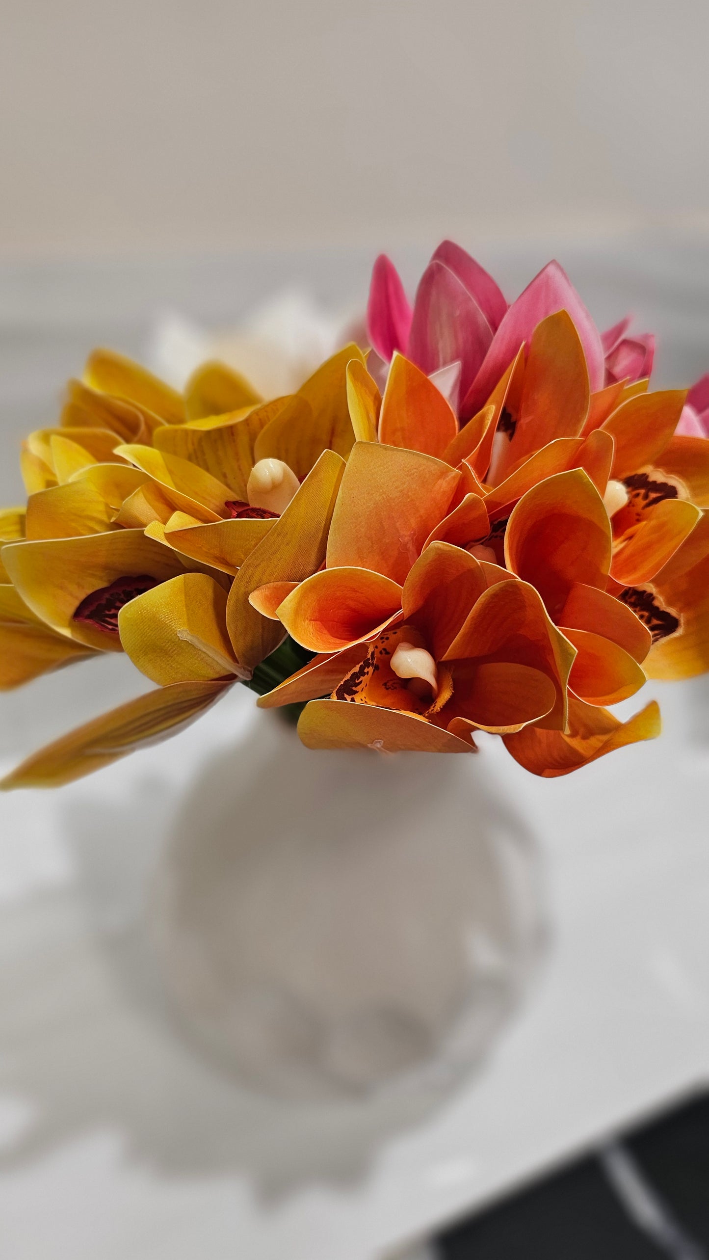 Cymbidium orchids