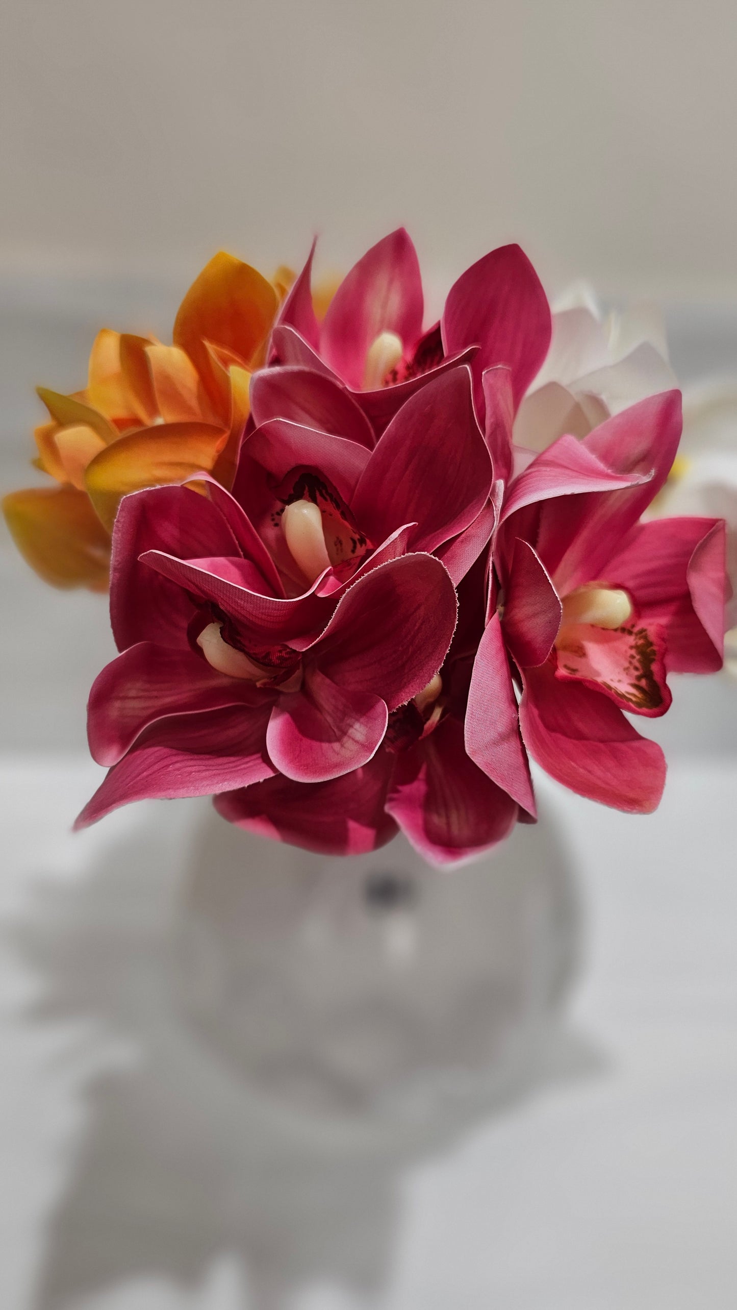 Cymbidium orchids
