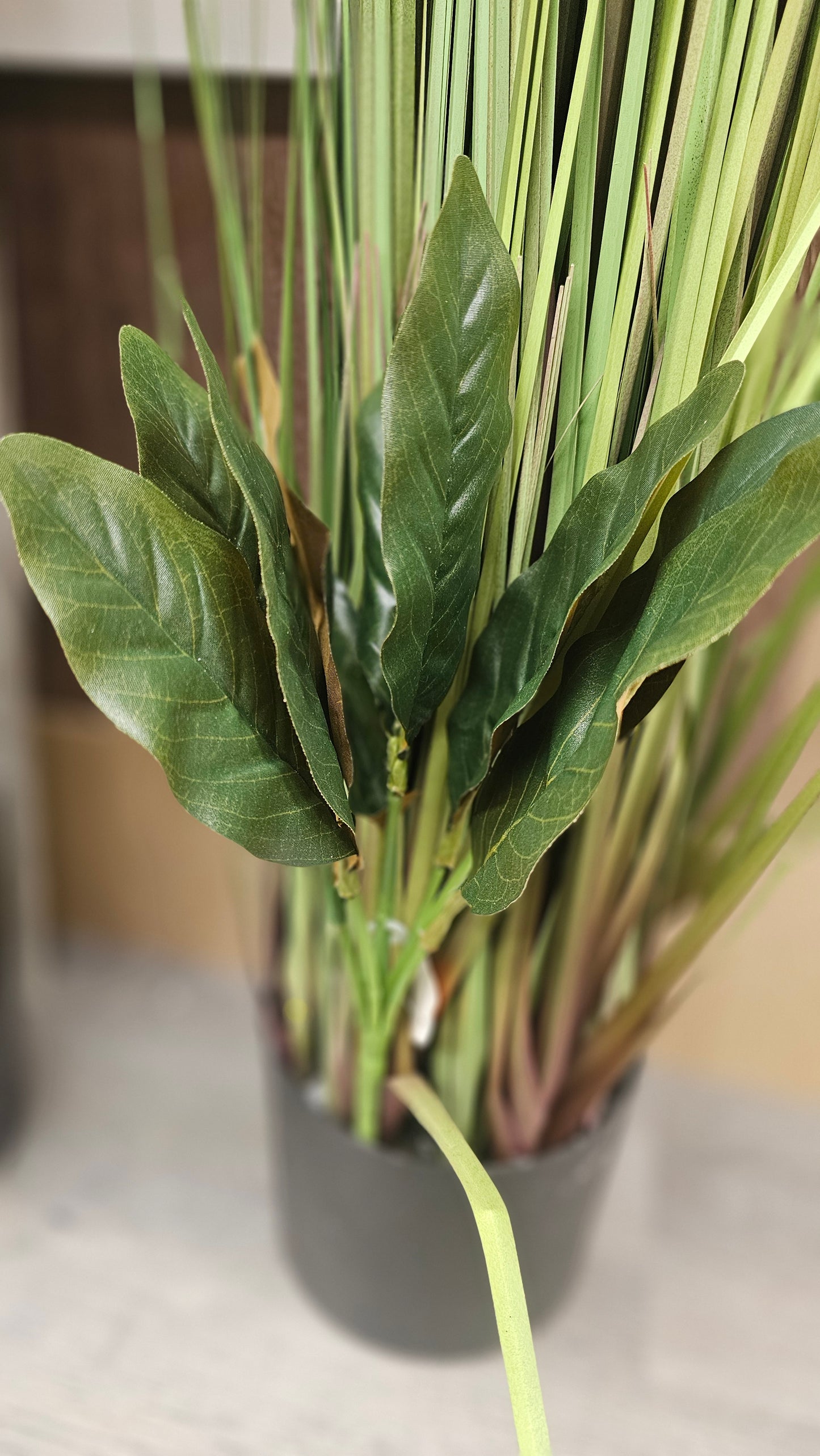 Variety leaves