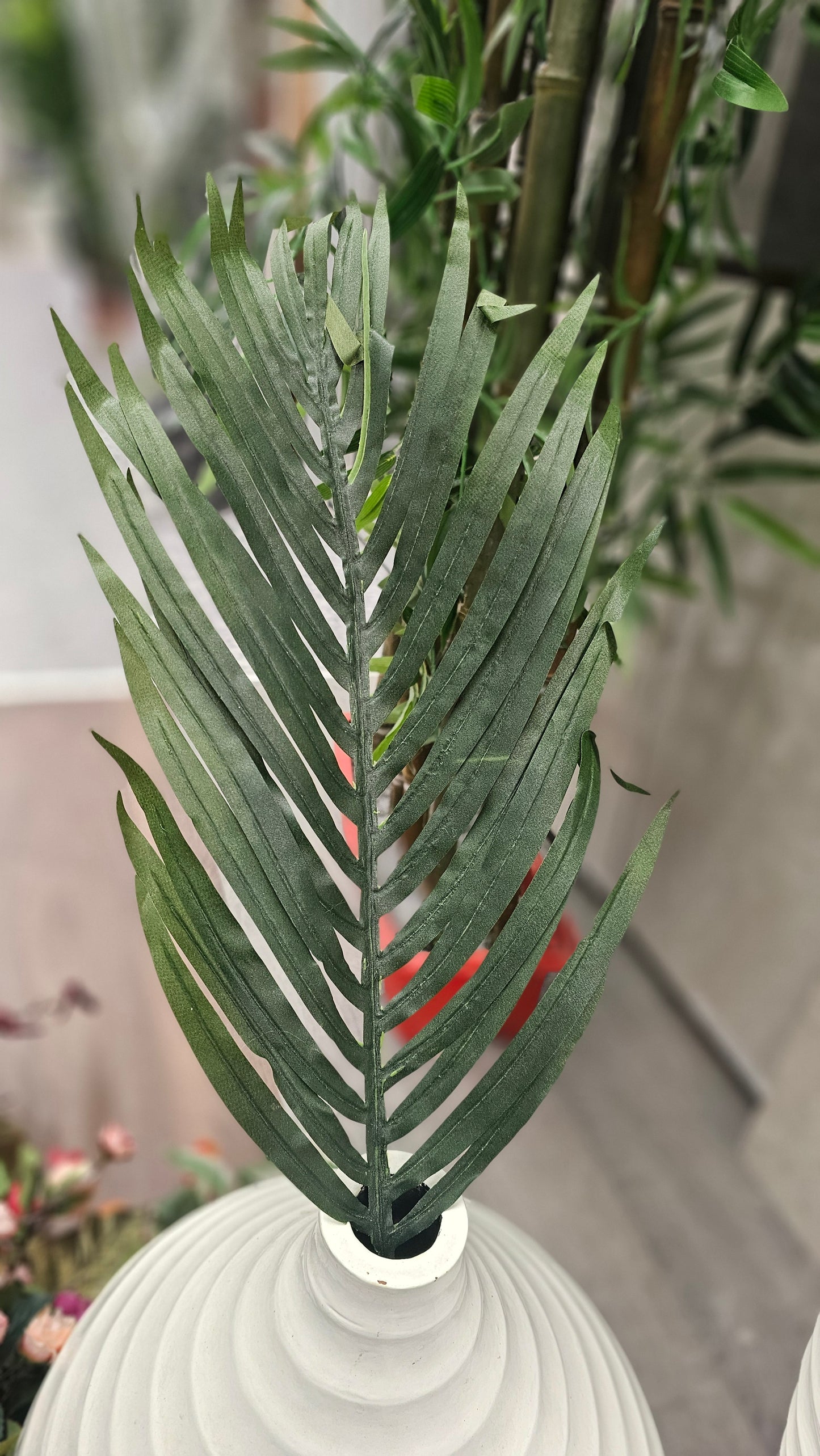 Variety leaves
