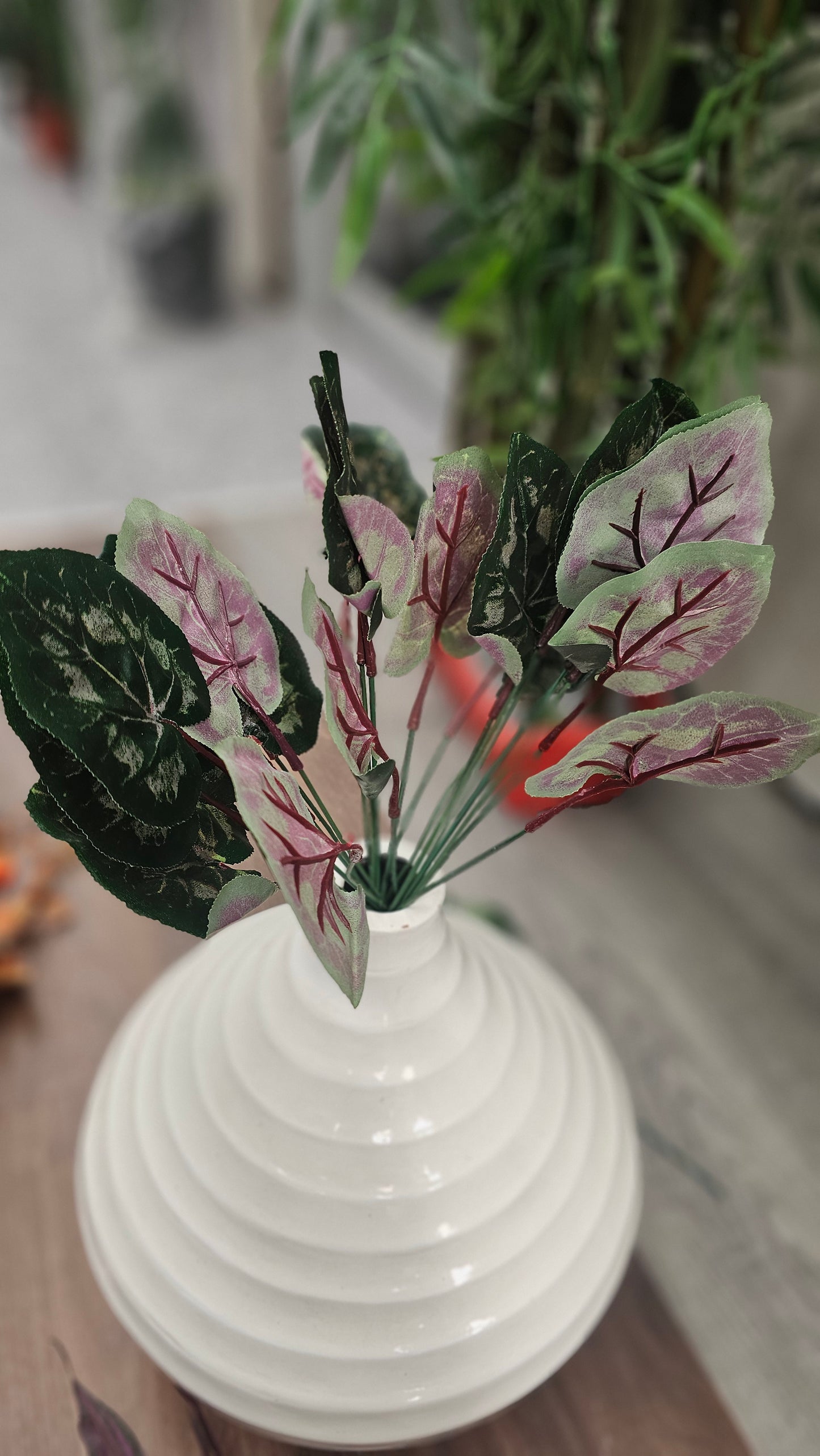 Variety leaves
