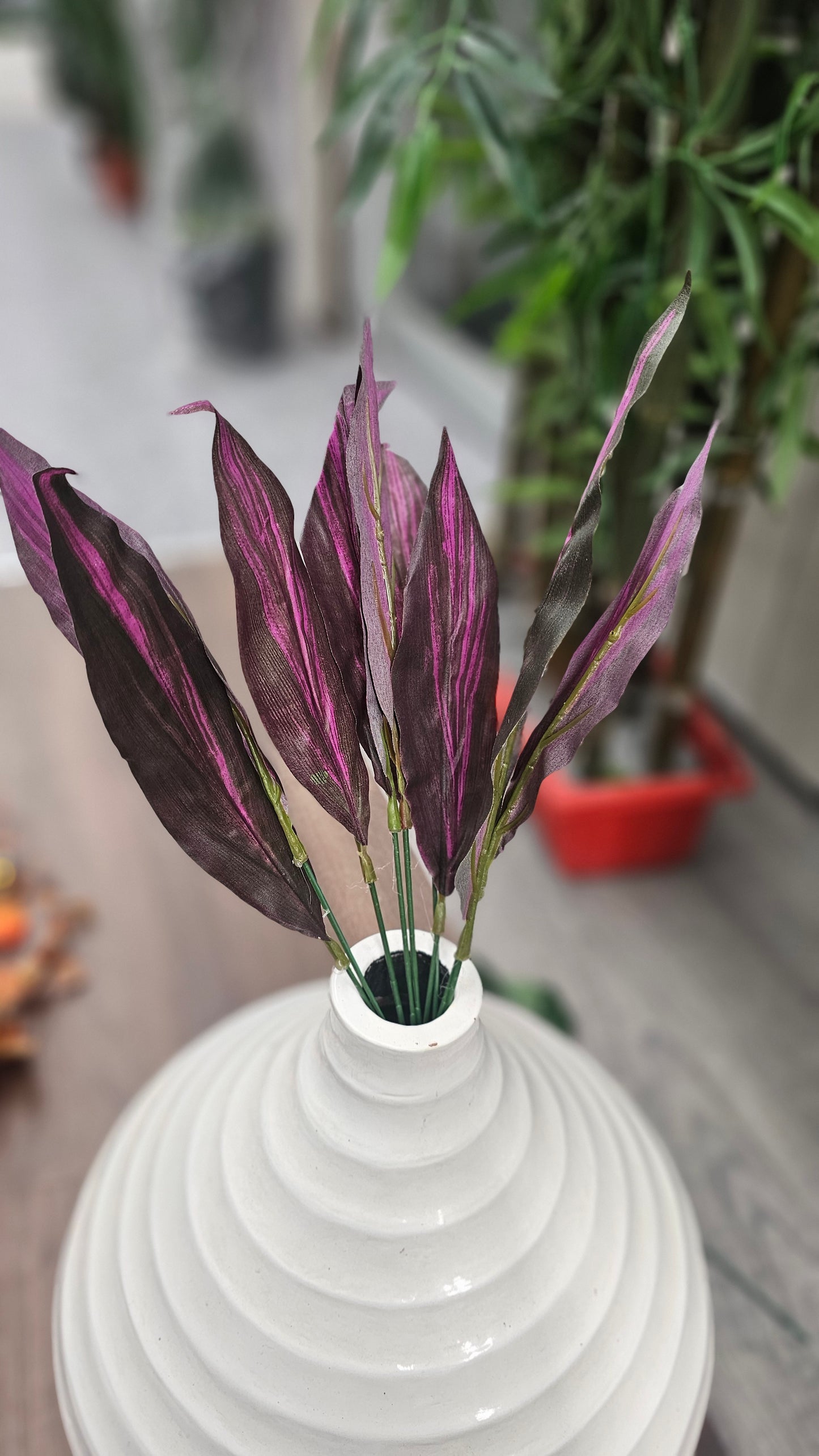 Variety leaves