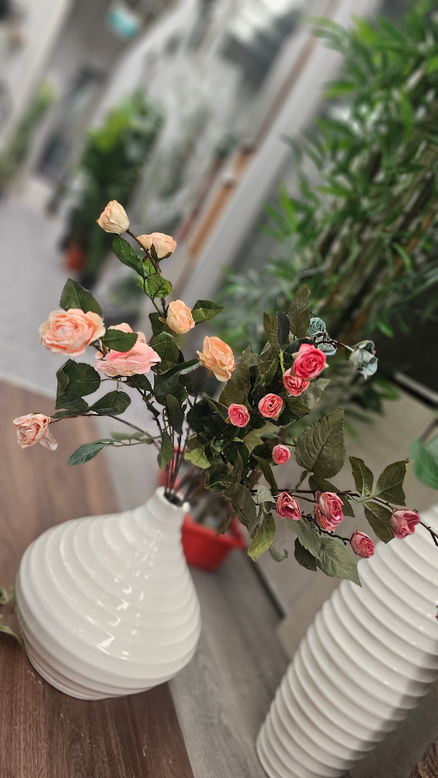 Hypericum Coco mini roses