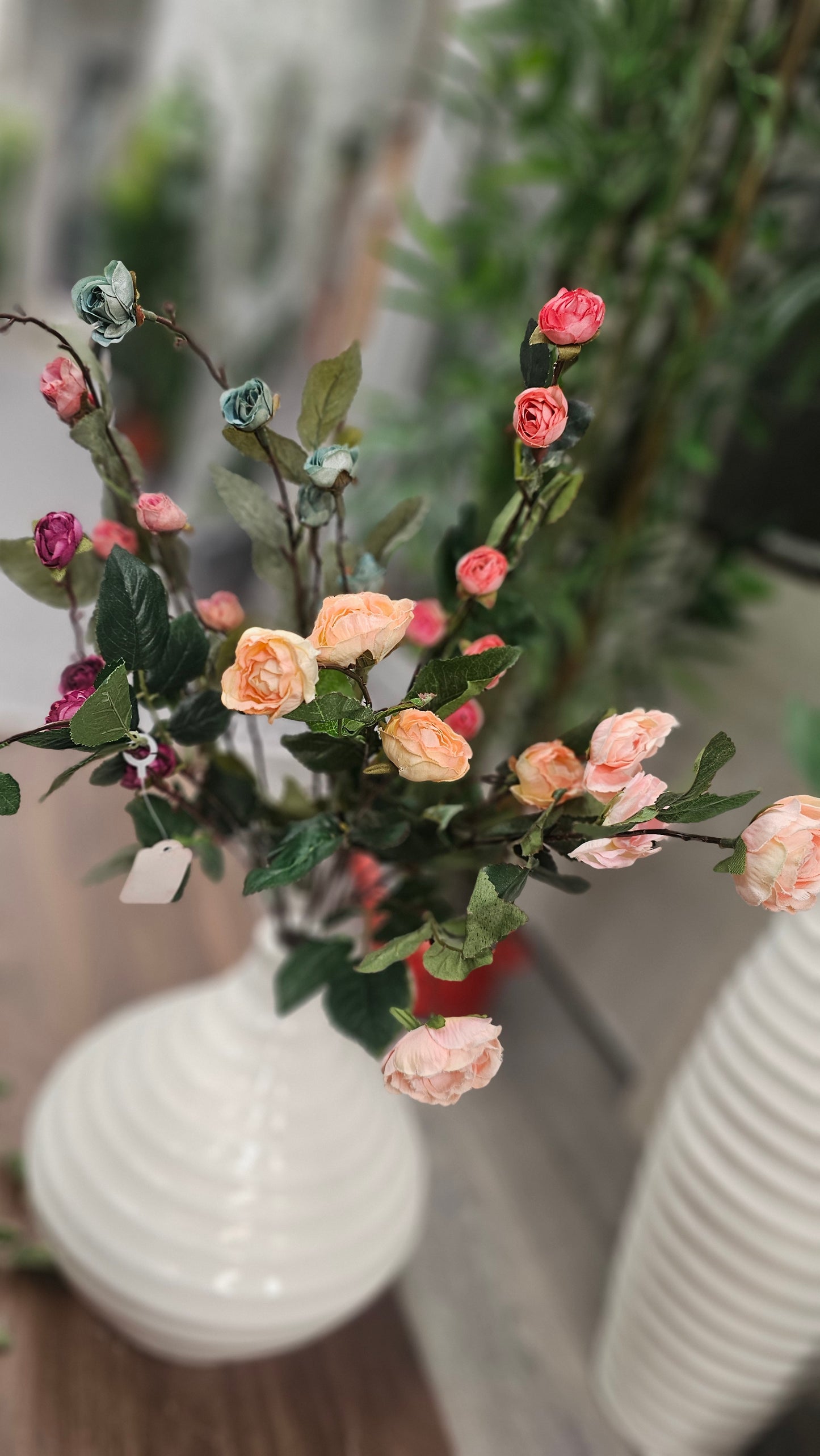 Hypericum Coco mini roses