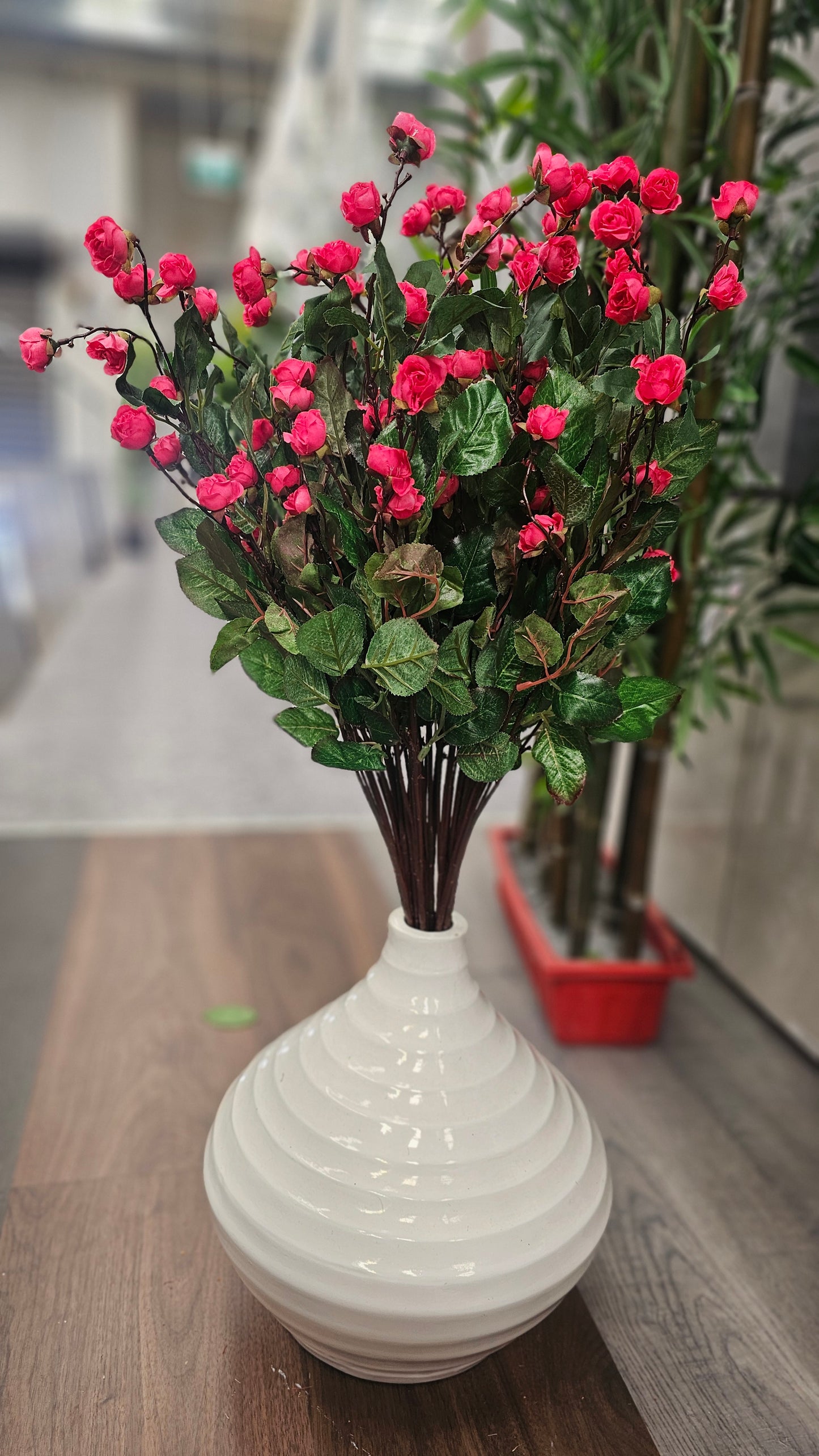 Hypericum Coco mini roses