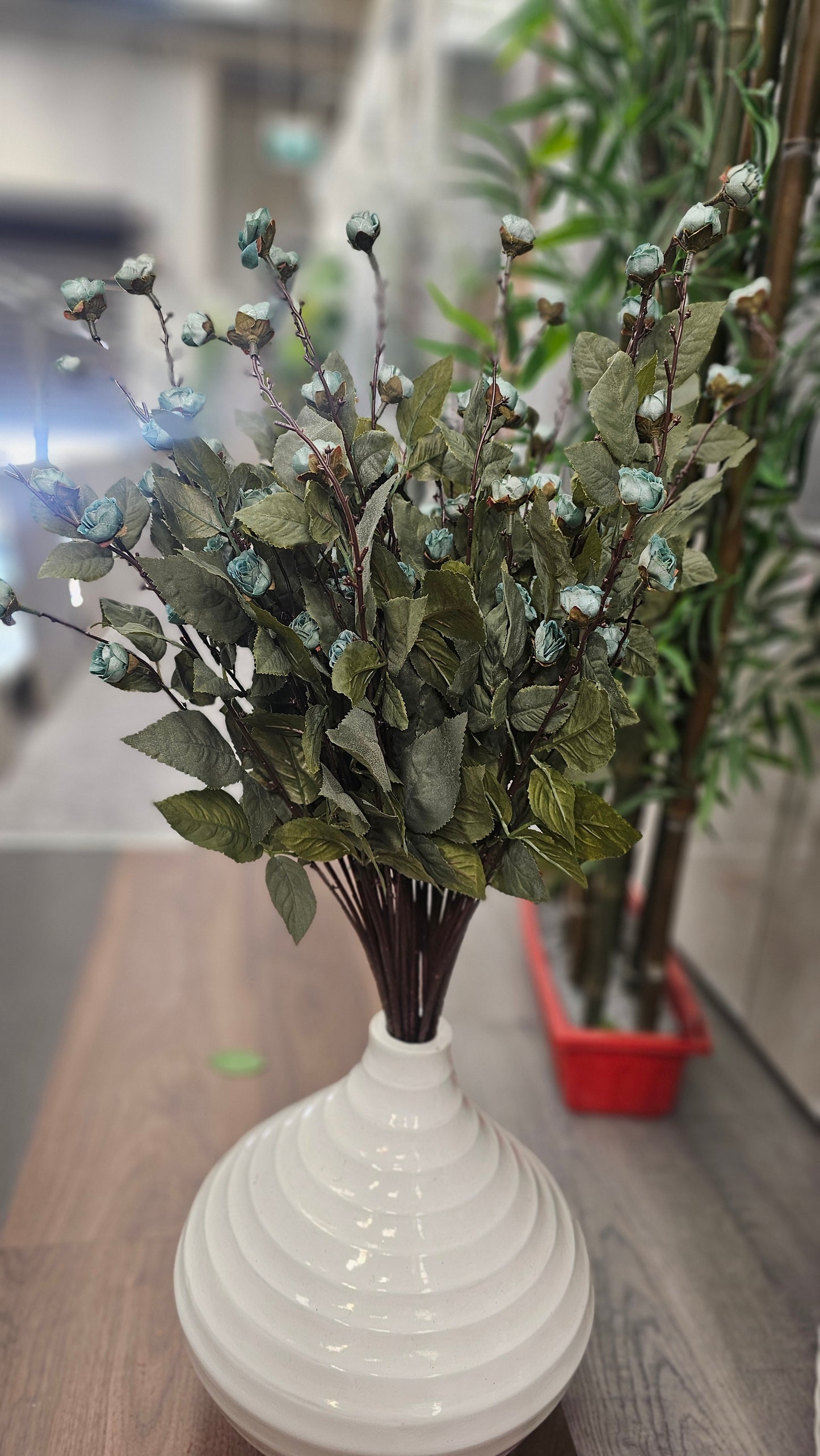 Hypericum Coco mini roses