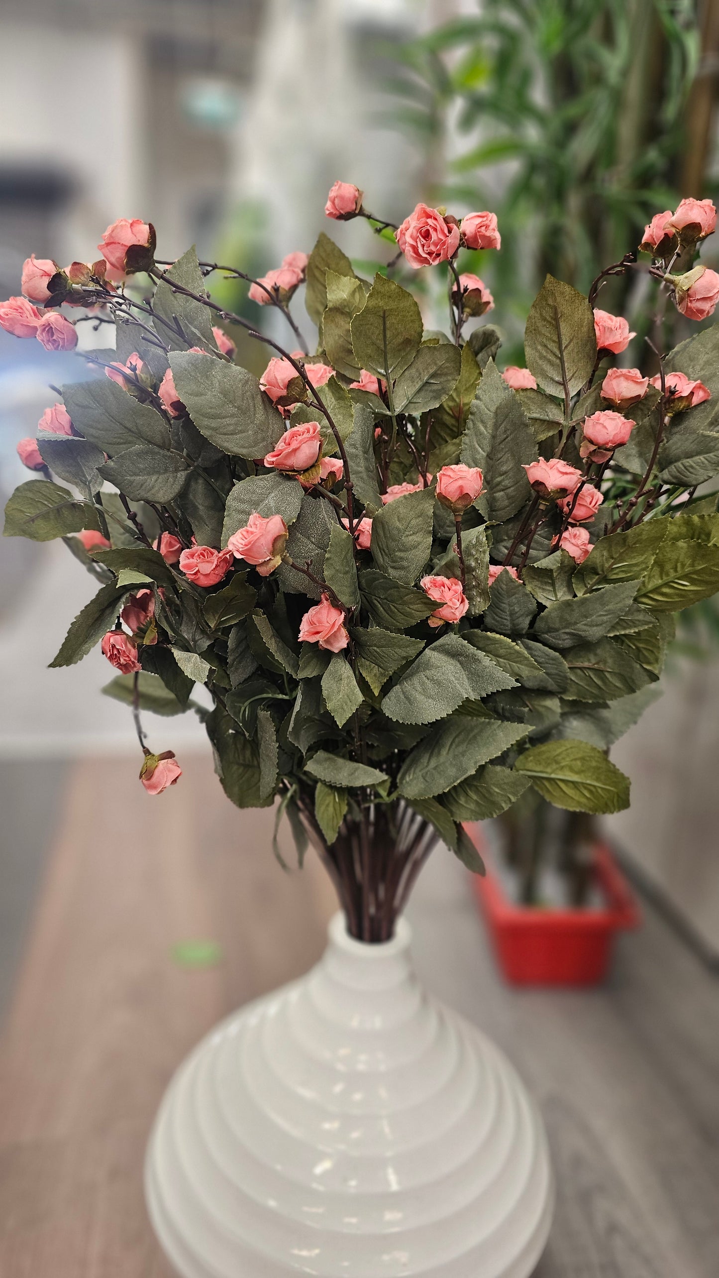 Hypericum Coco mini roses