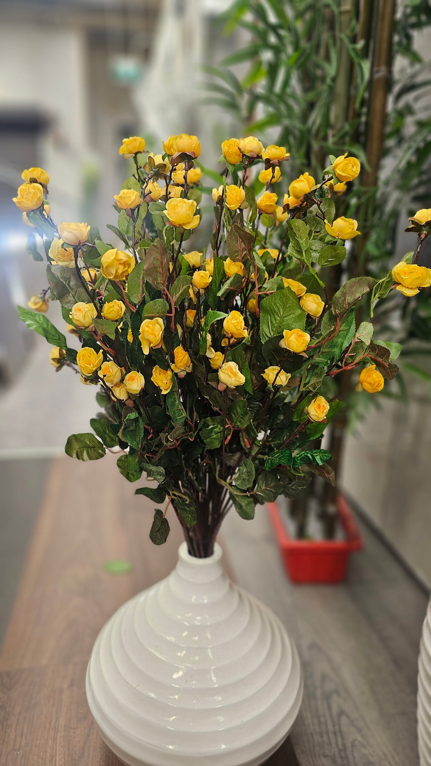 Hypericum Coco mini roses