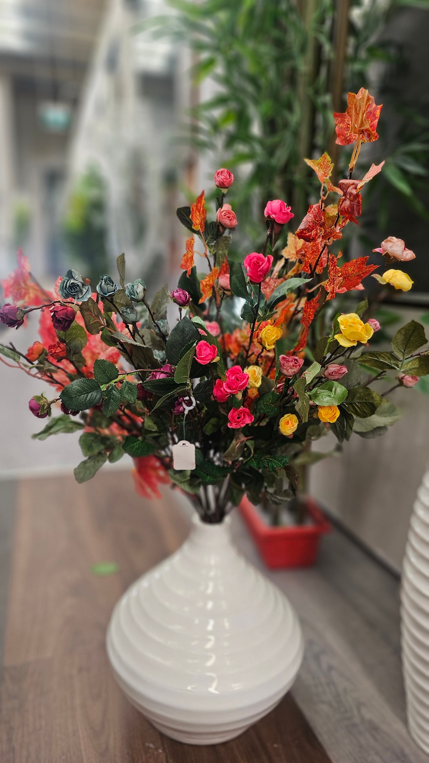 Hypericum Coco mini roses