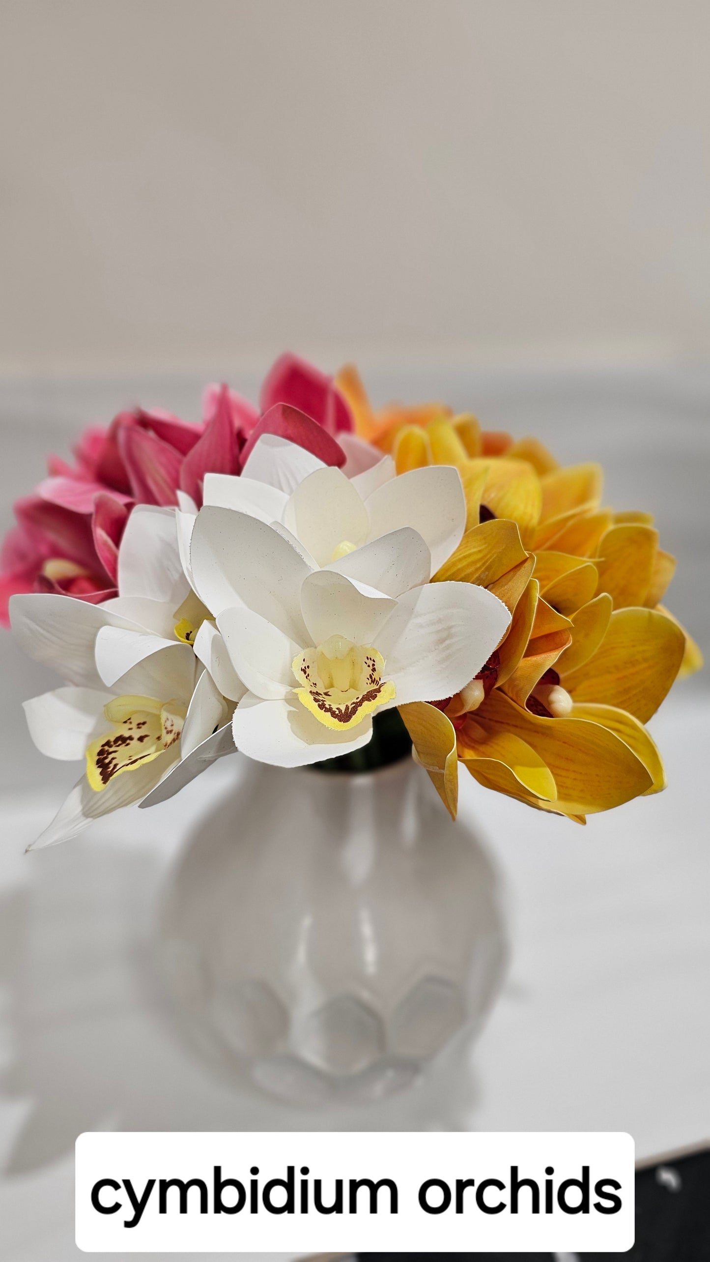 Cymbidium orchids
