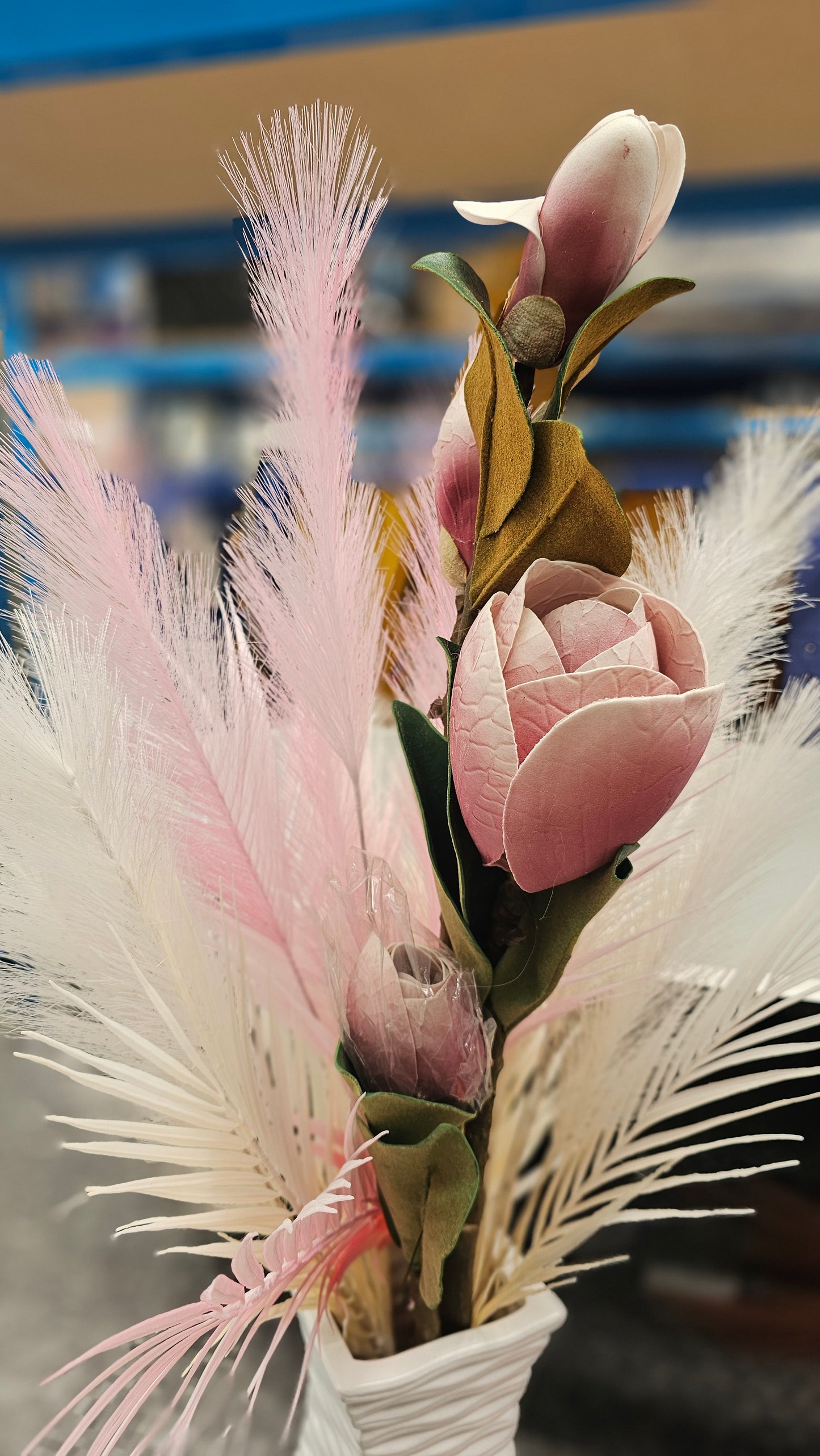 Magnolia tulip