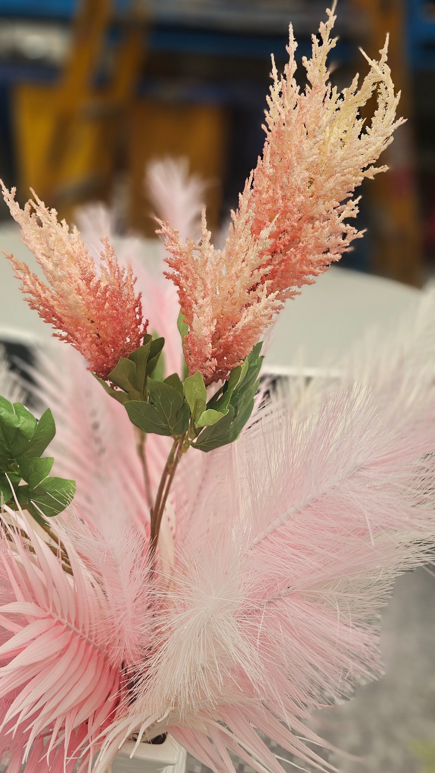 Chinese astilbe peach and blue