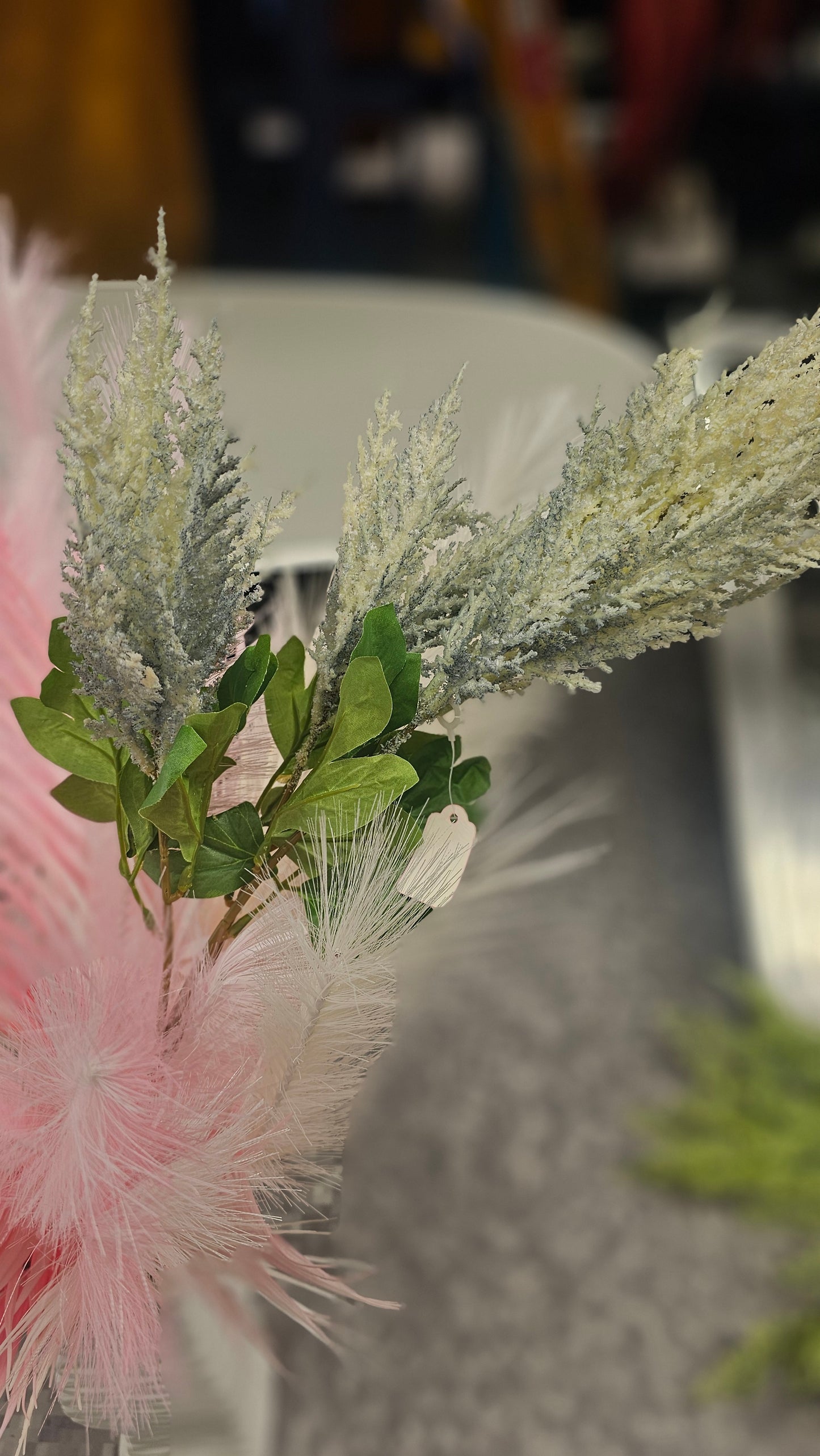 Chinese astilbe peach and blue