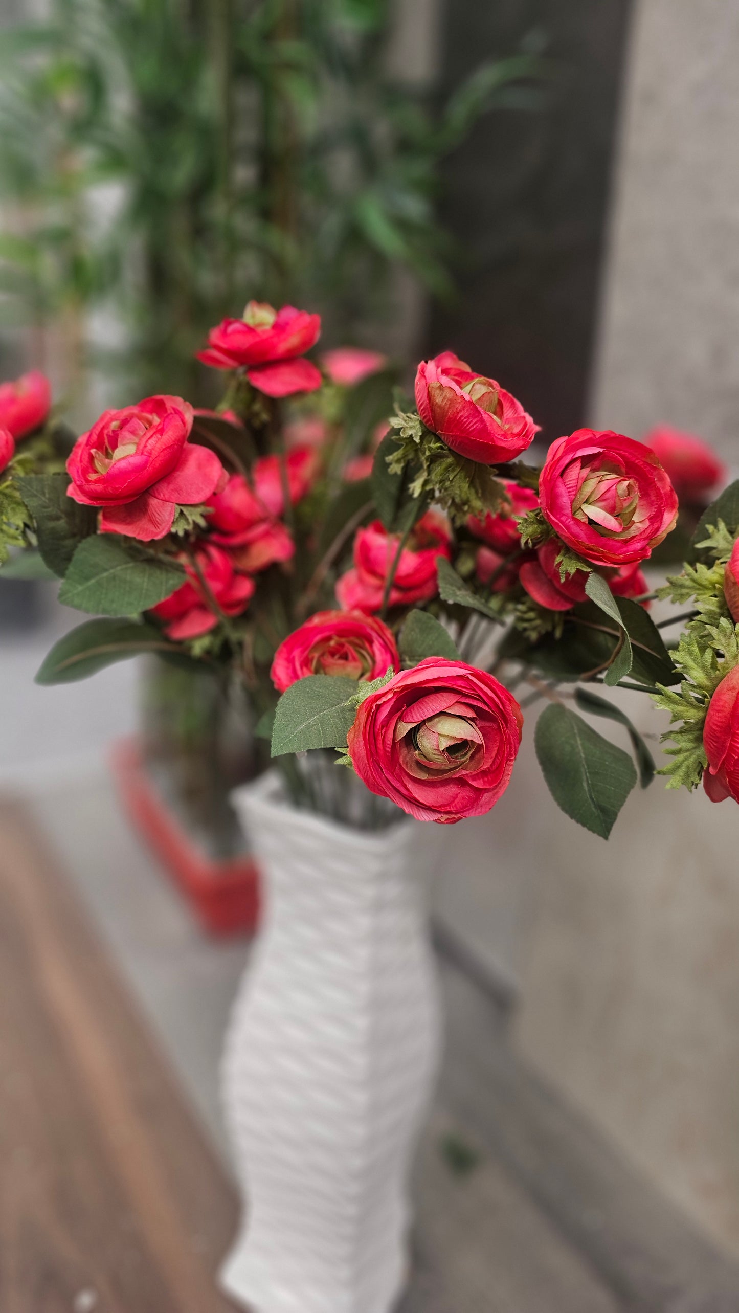 Persian buttercup flowers