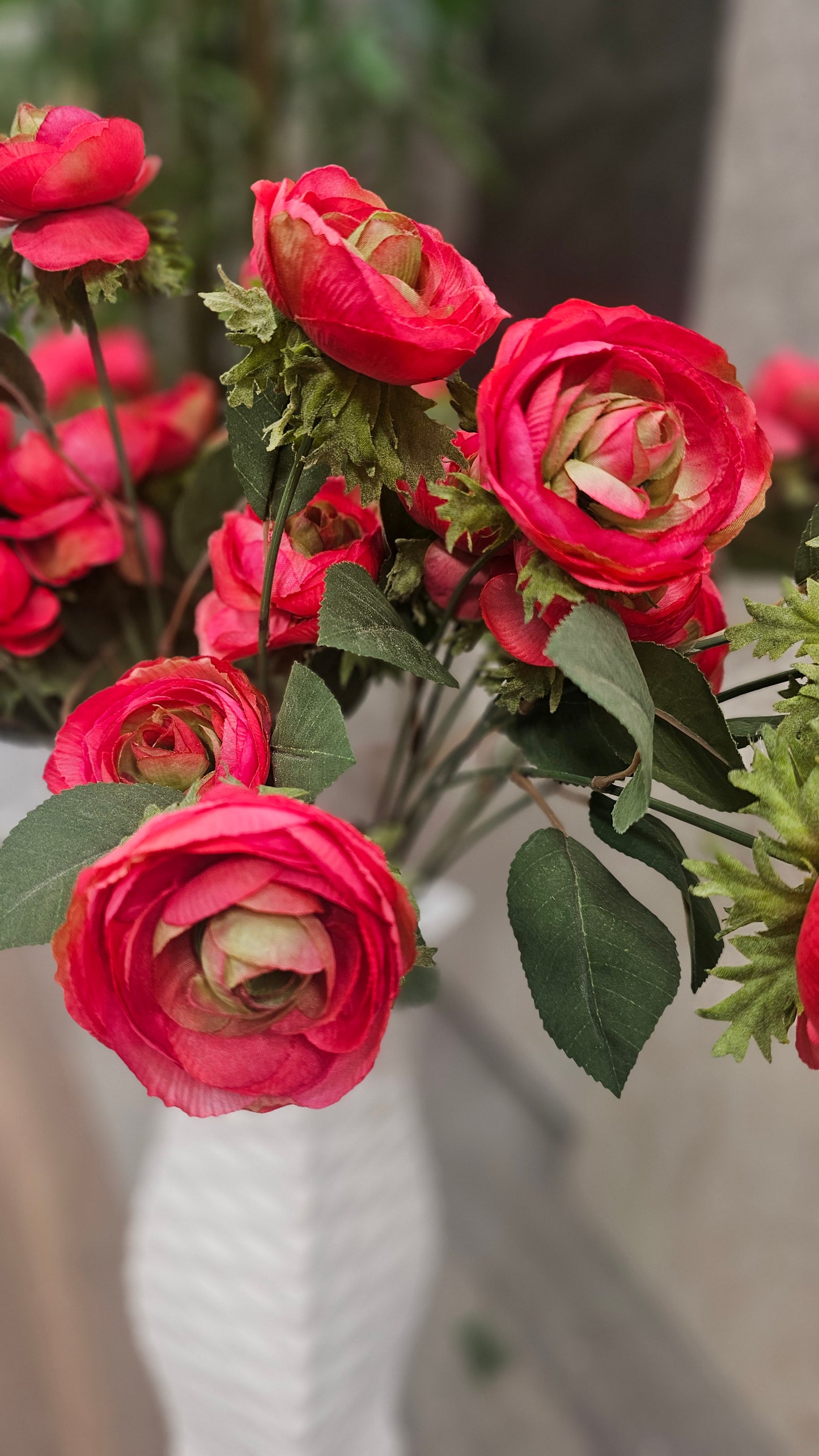 Persian buttercup flowers