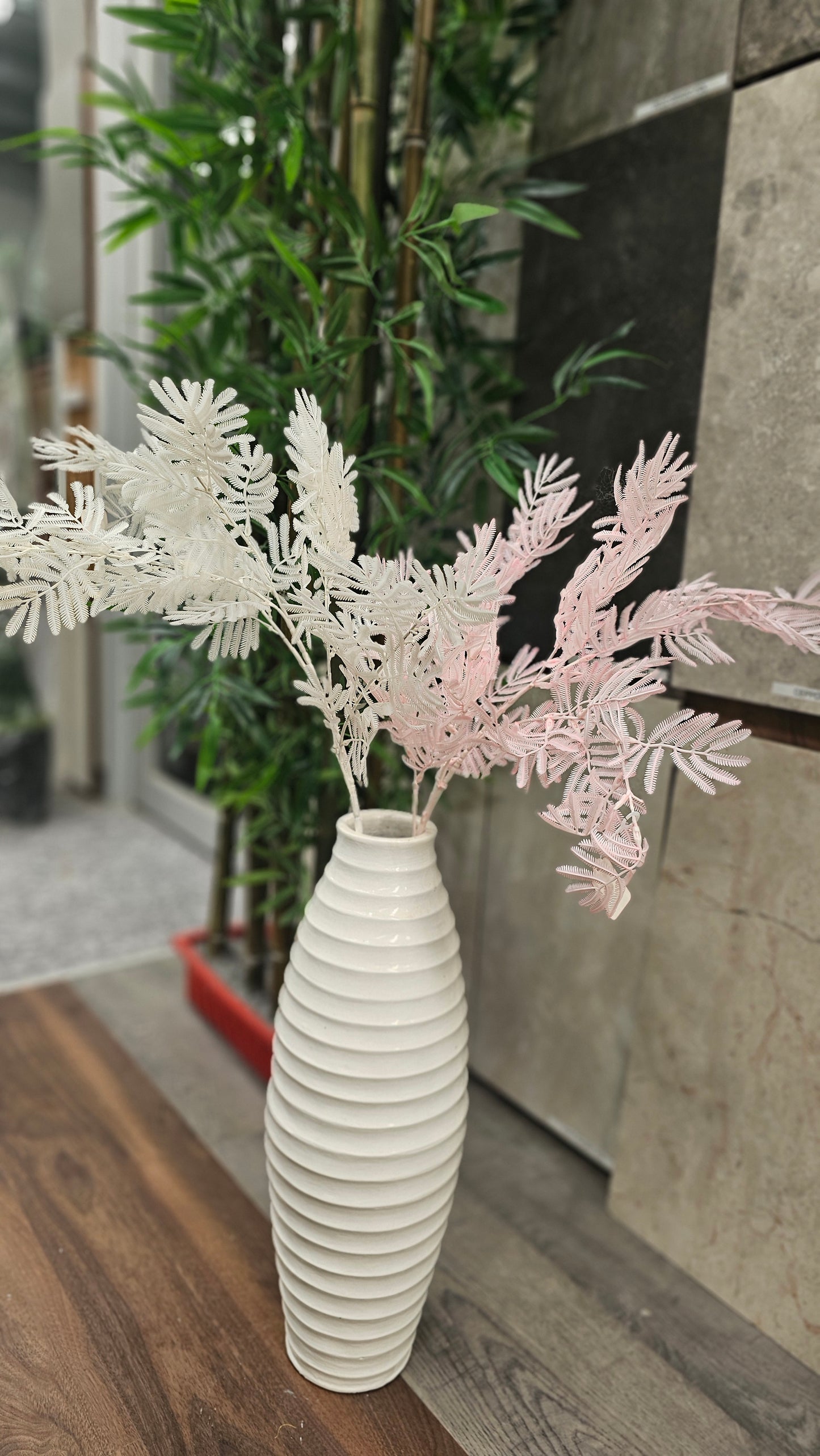 Norfolk pine stems