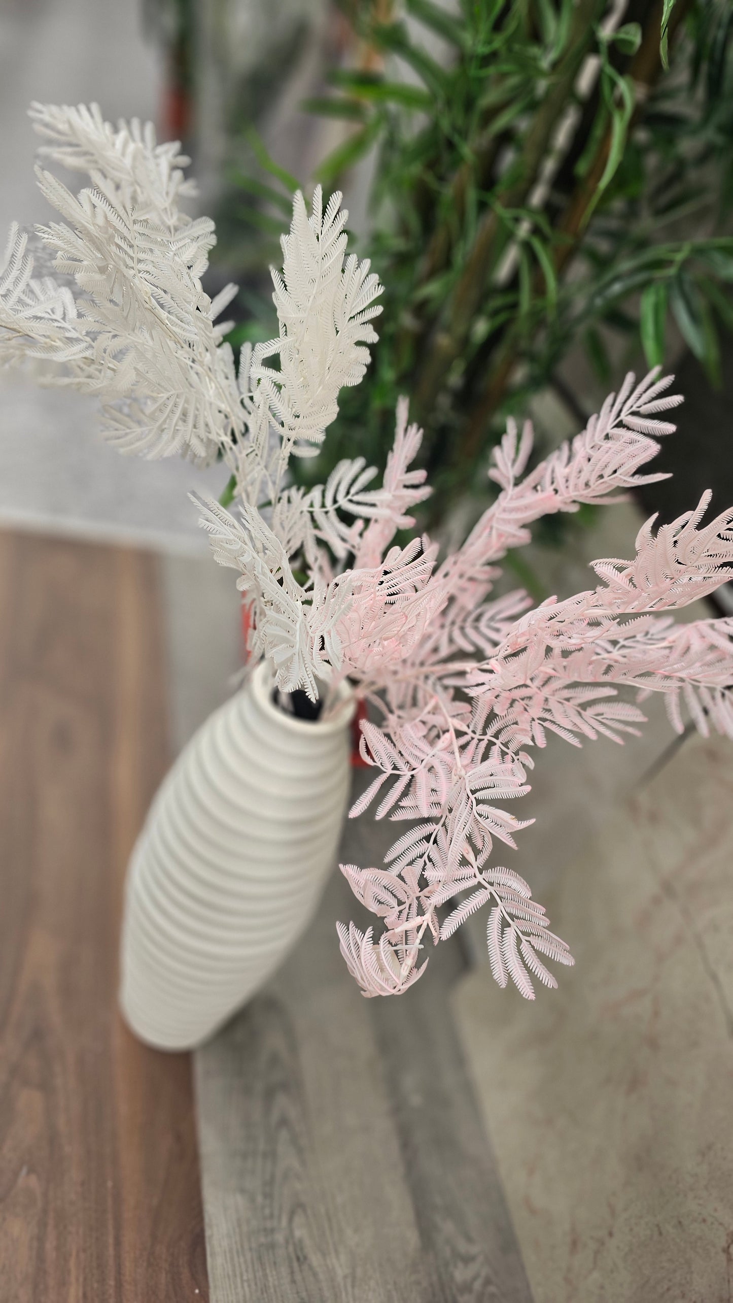 Norfolk pine stems