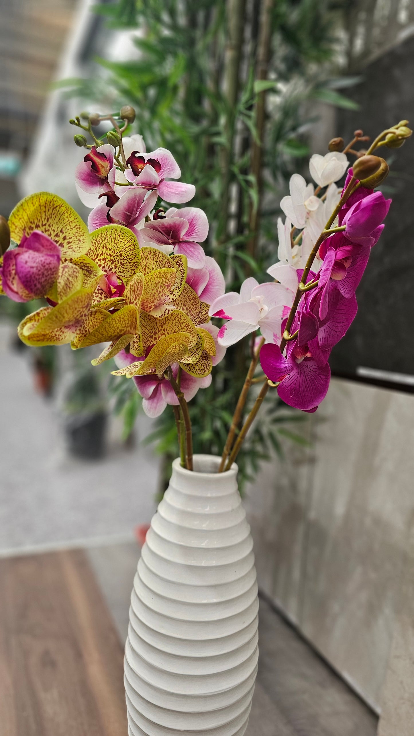 Orchids flowers