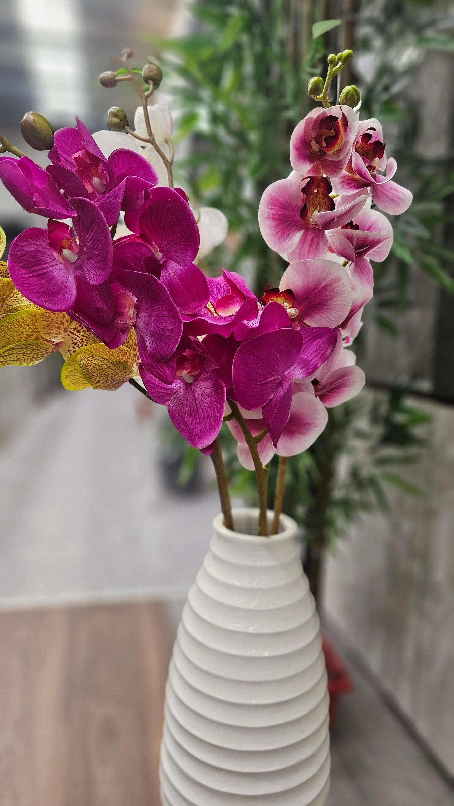 Orchids flowers