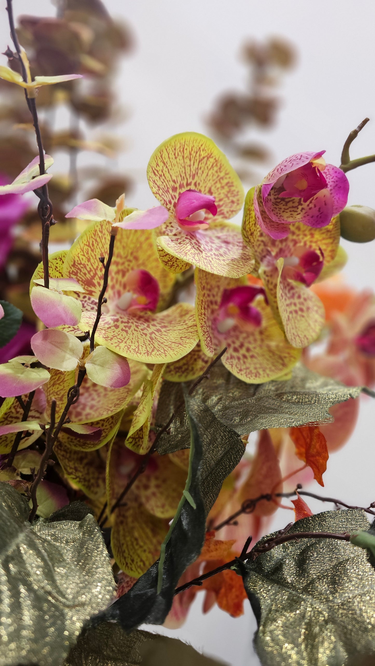 Orchids flowers