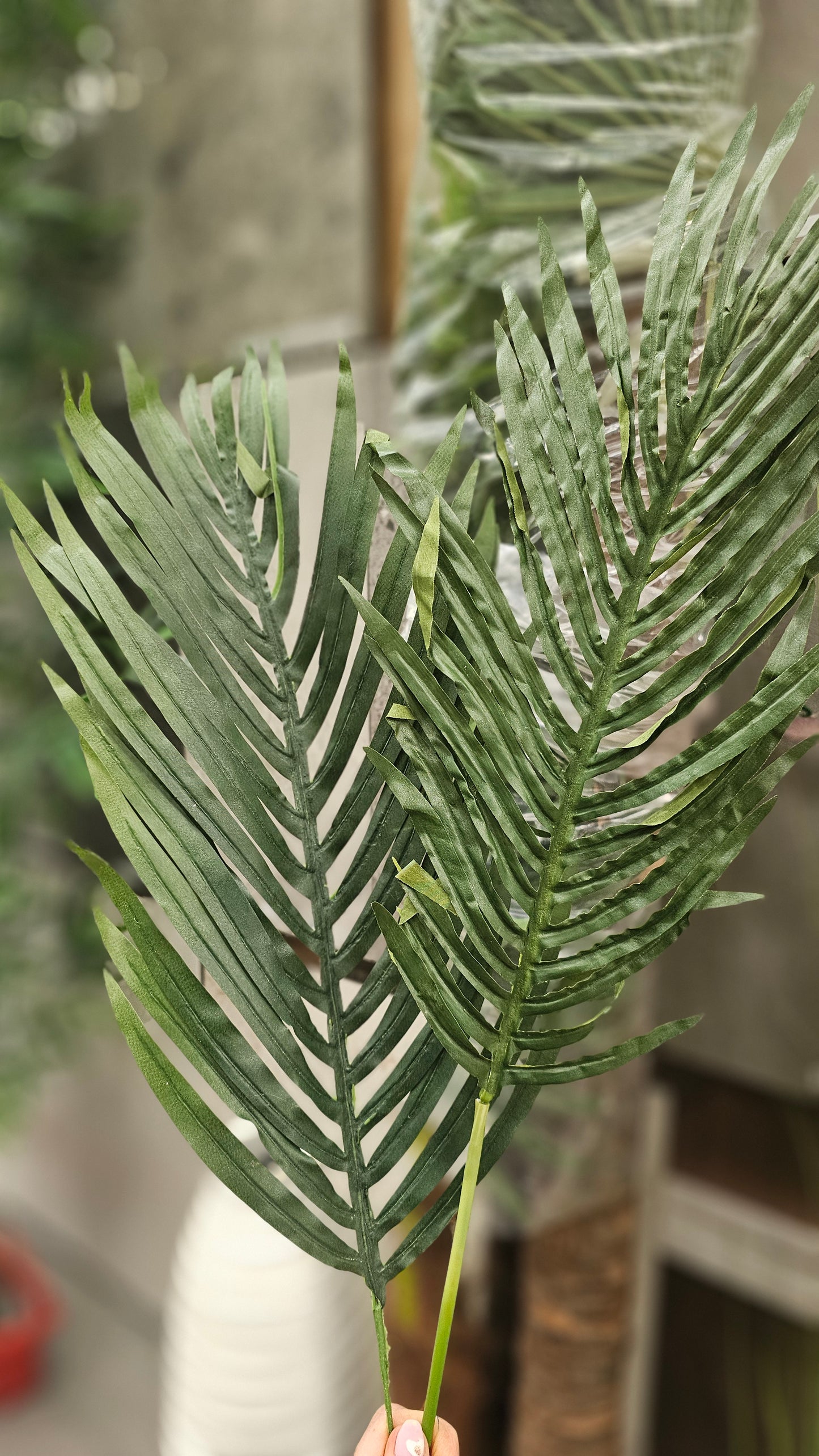Variety leaves