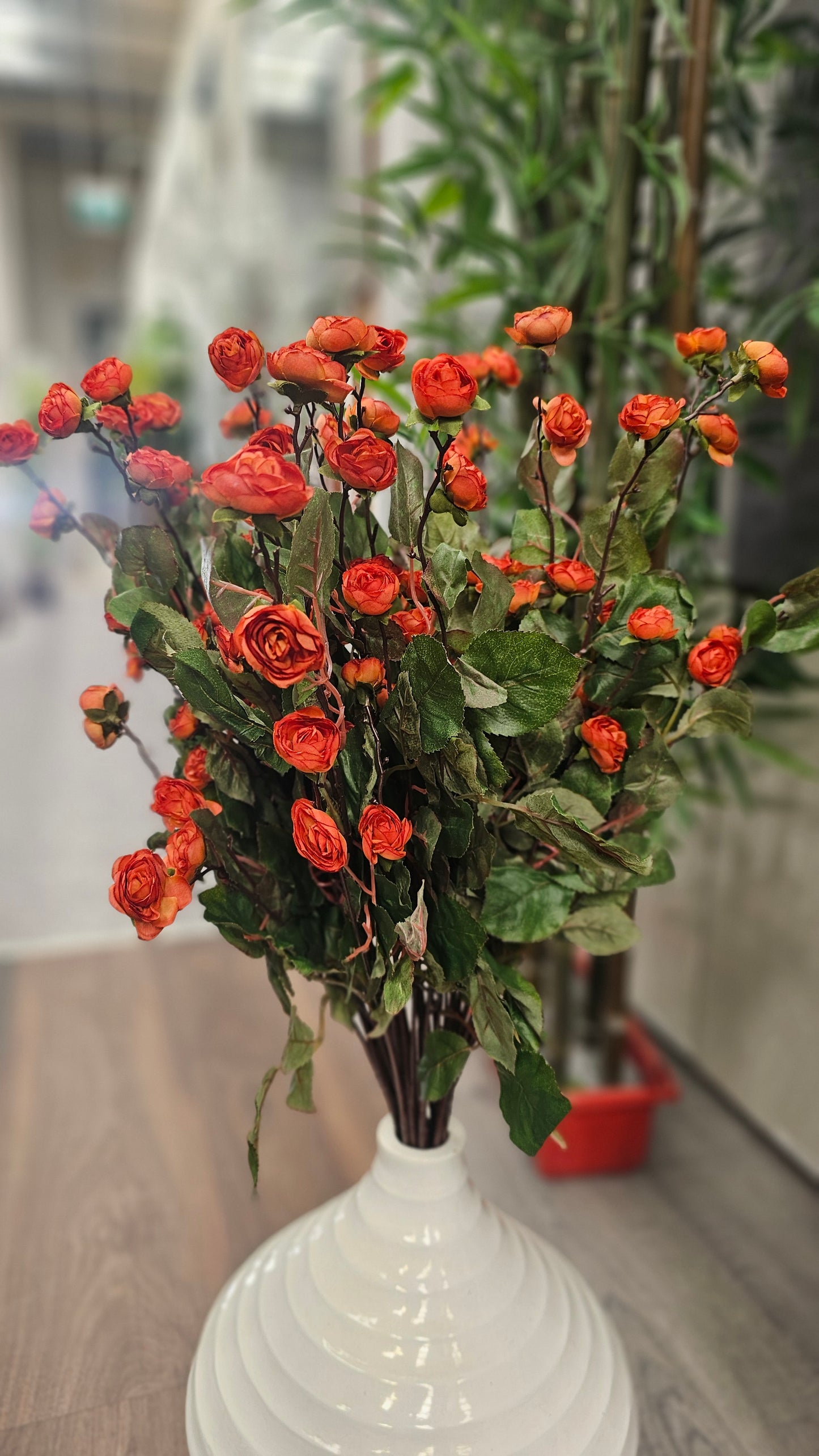 Hypericum Coco mini roses