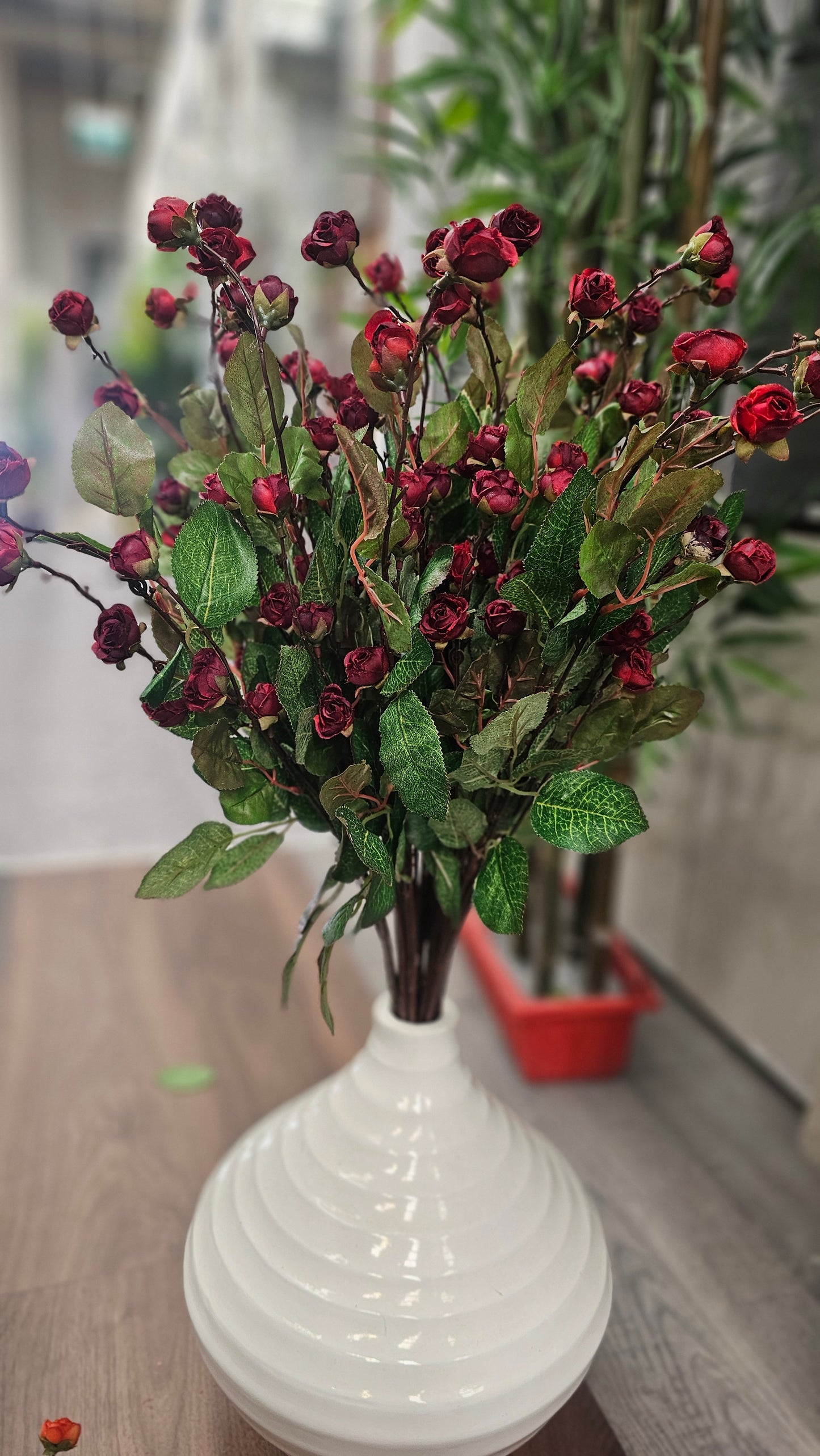 Hypericum Coco mini roses