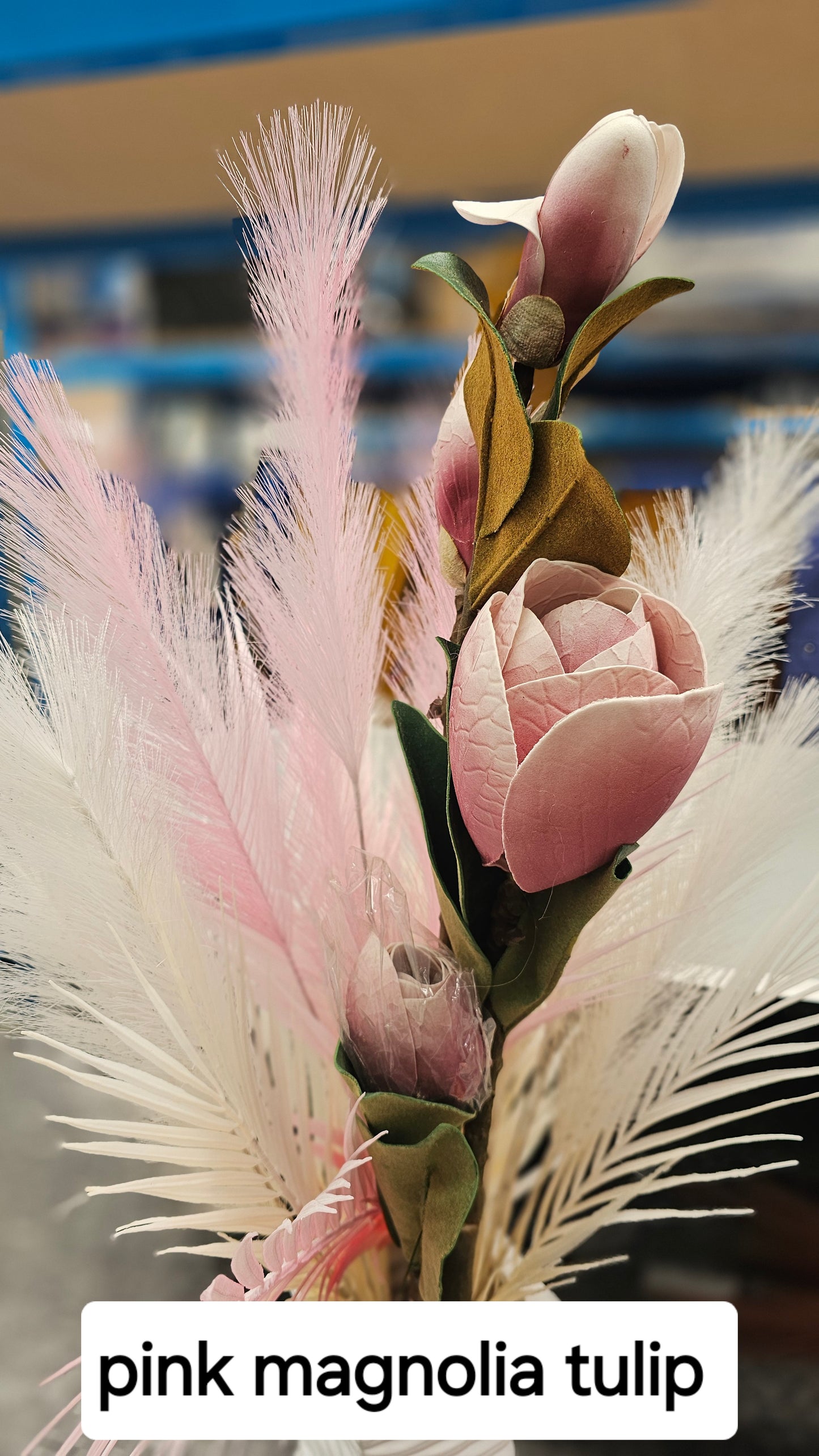 Magnolia tulip