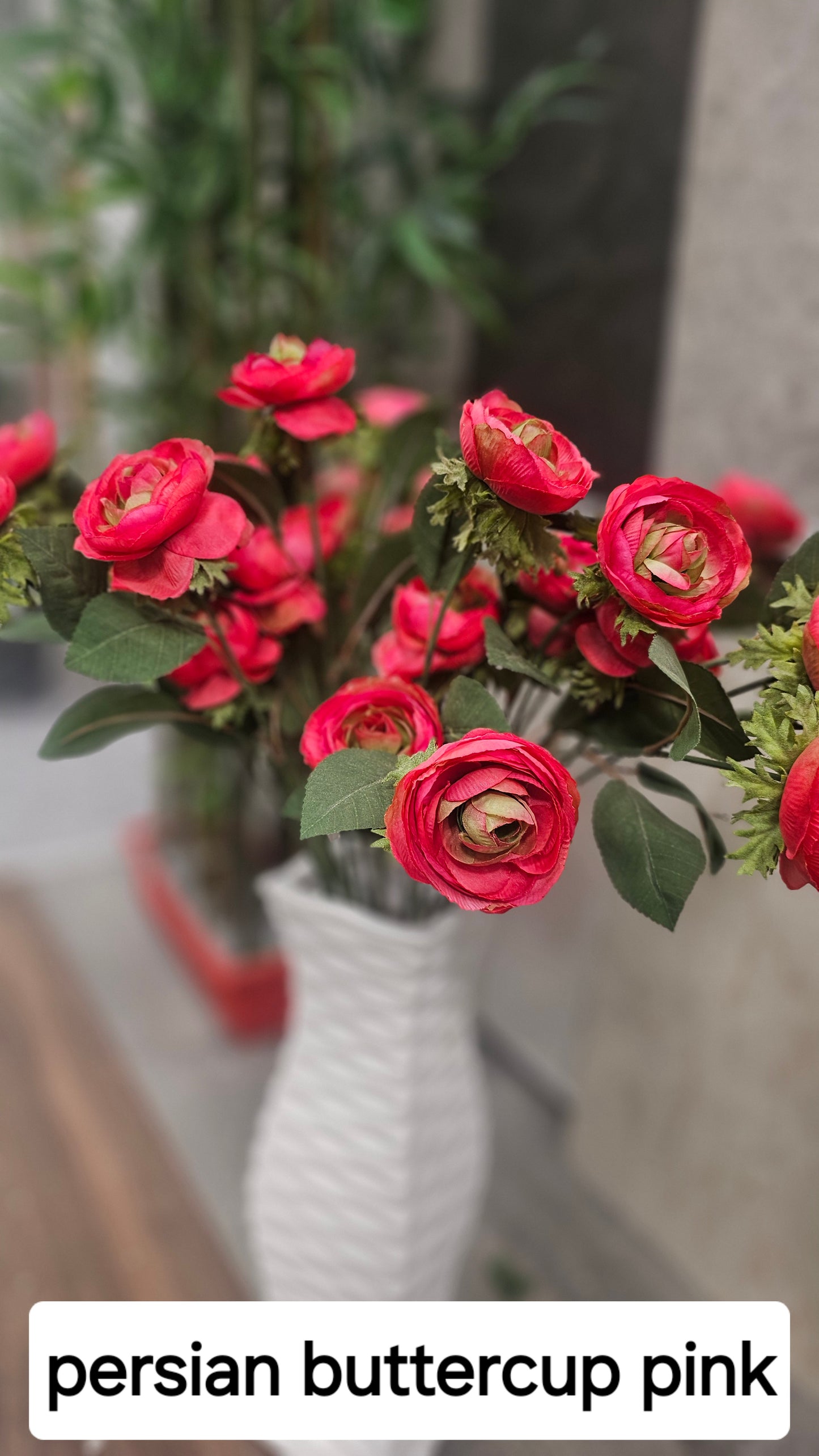 Persian buttercup flowers