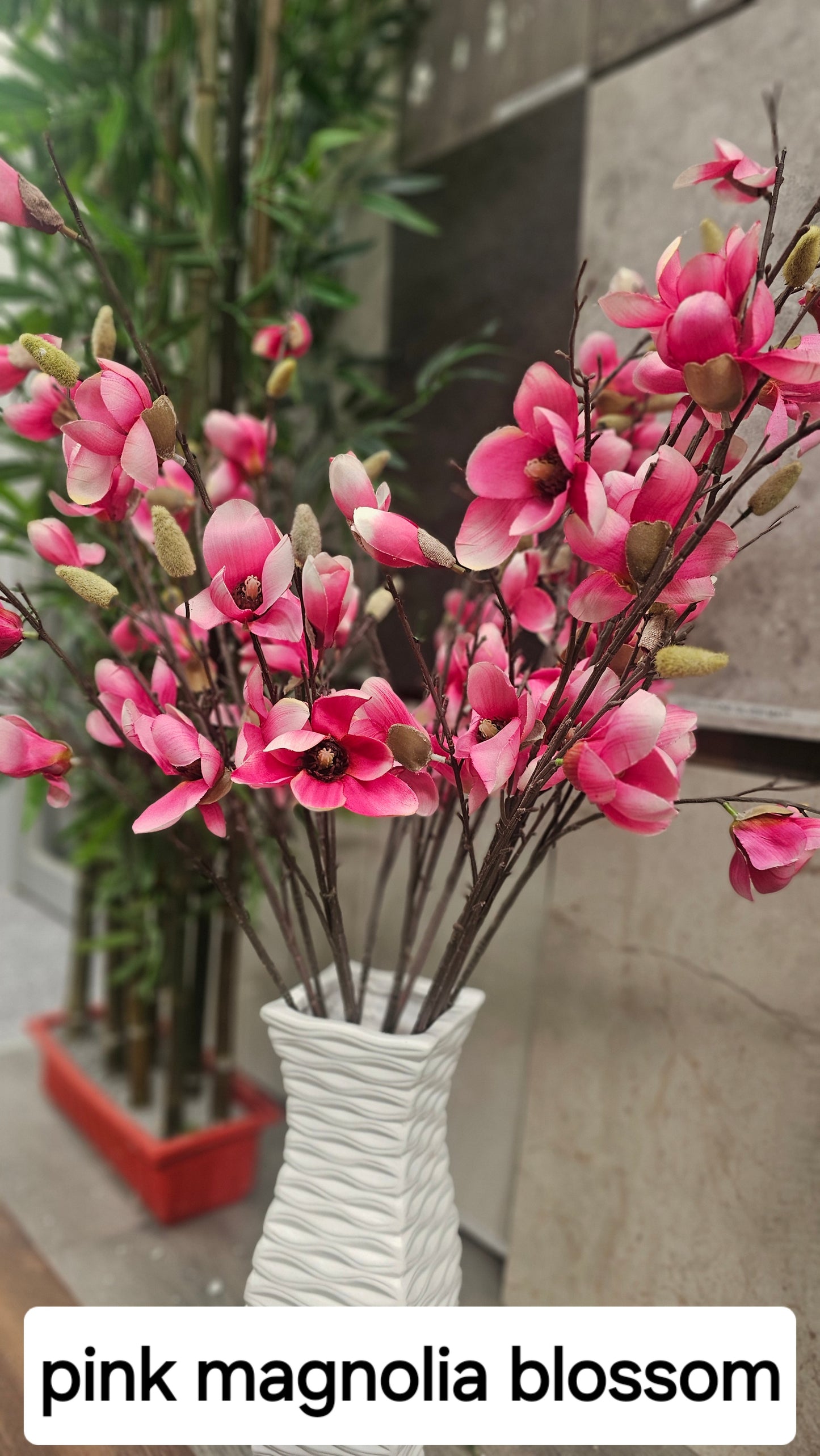 Magnolia blossom