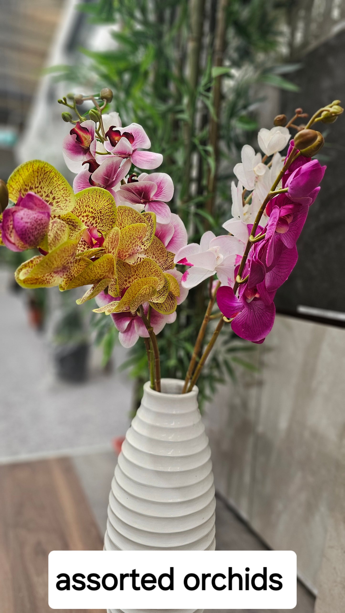 Orchids flowers
