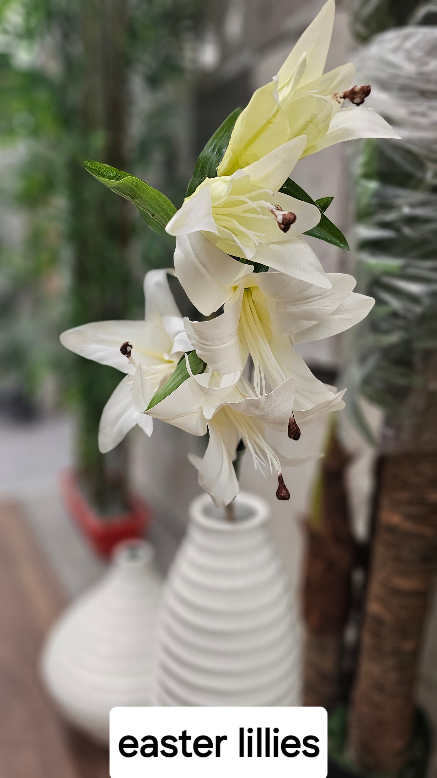 Easter Lillies