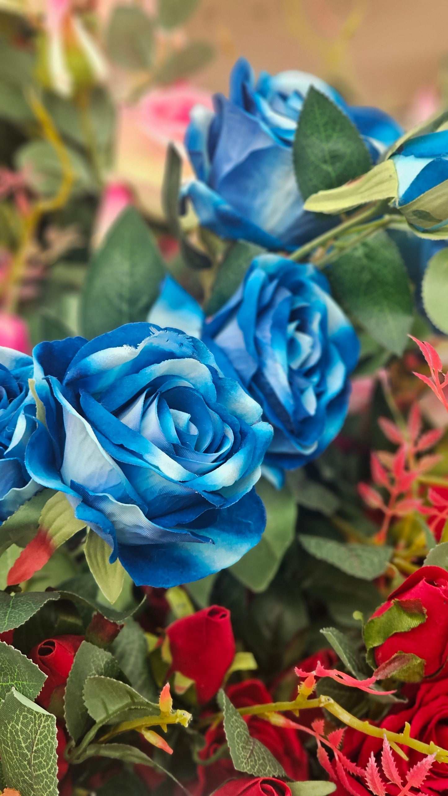 Roses