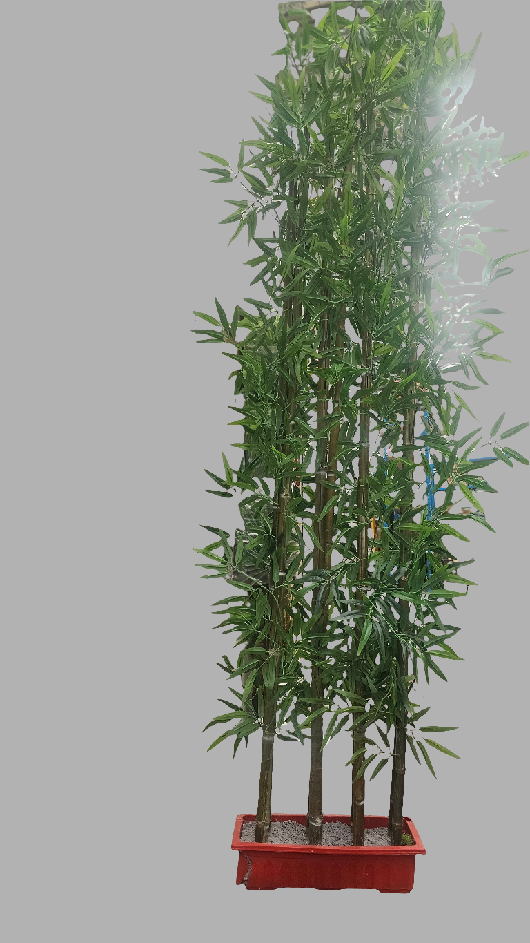 Bamboo tree